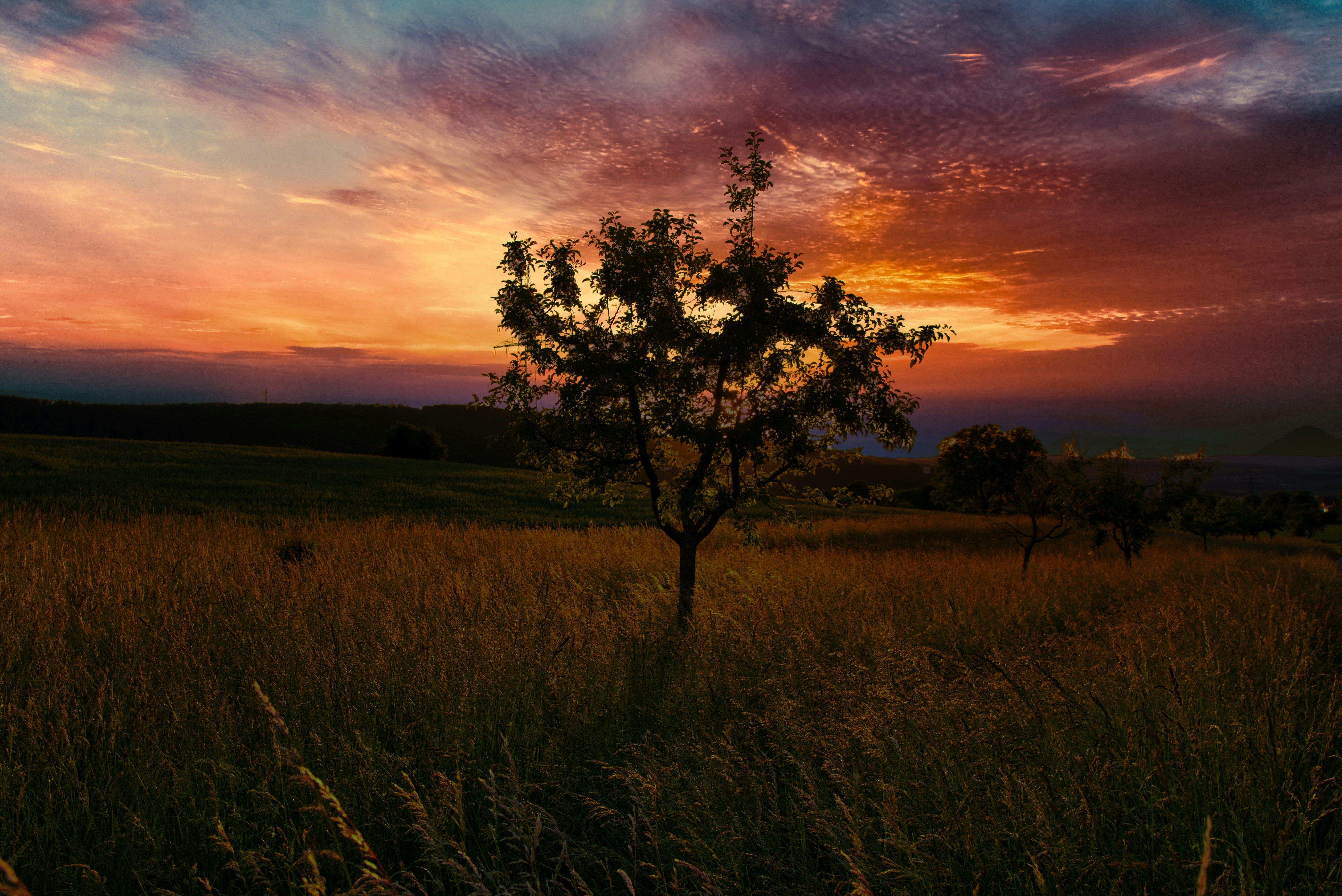 Photo by masoodaslami