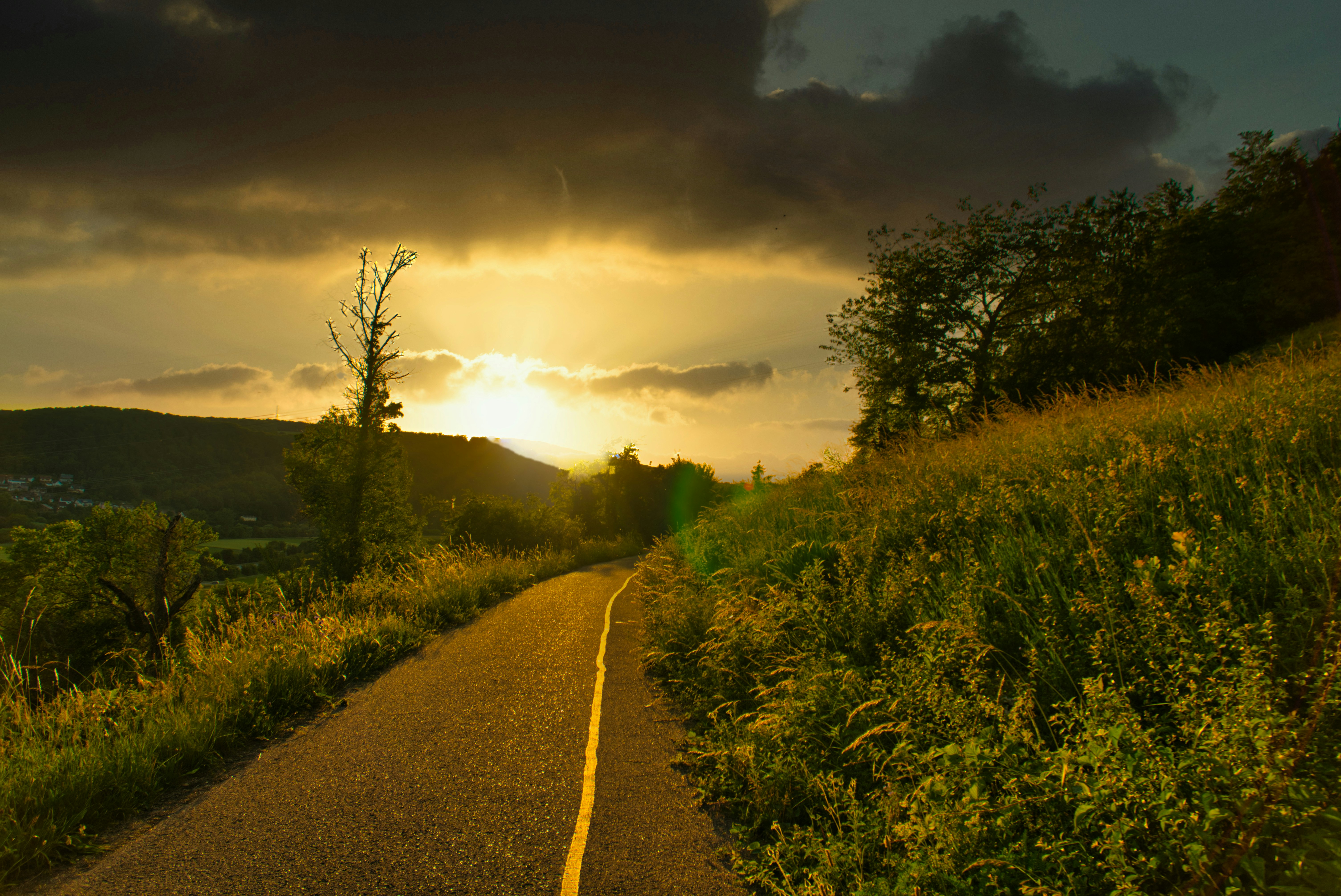 Photo by masoodaslami