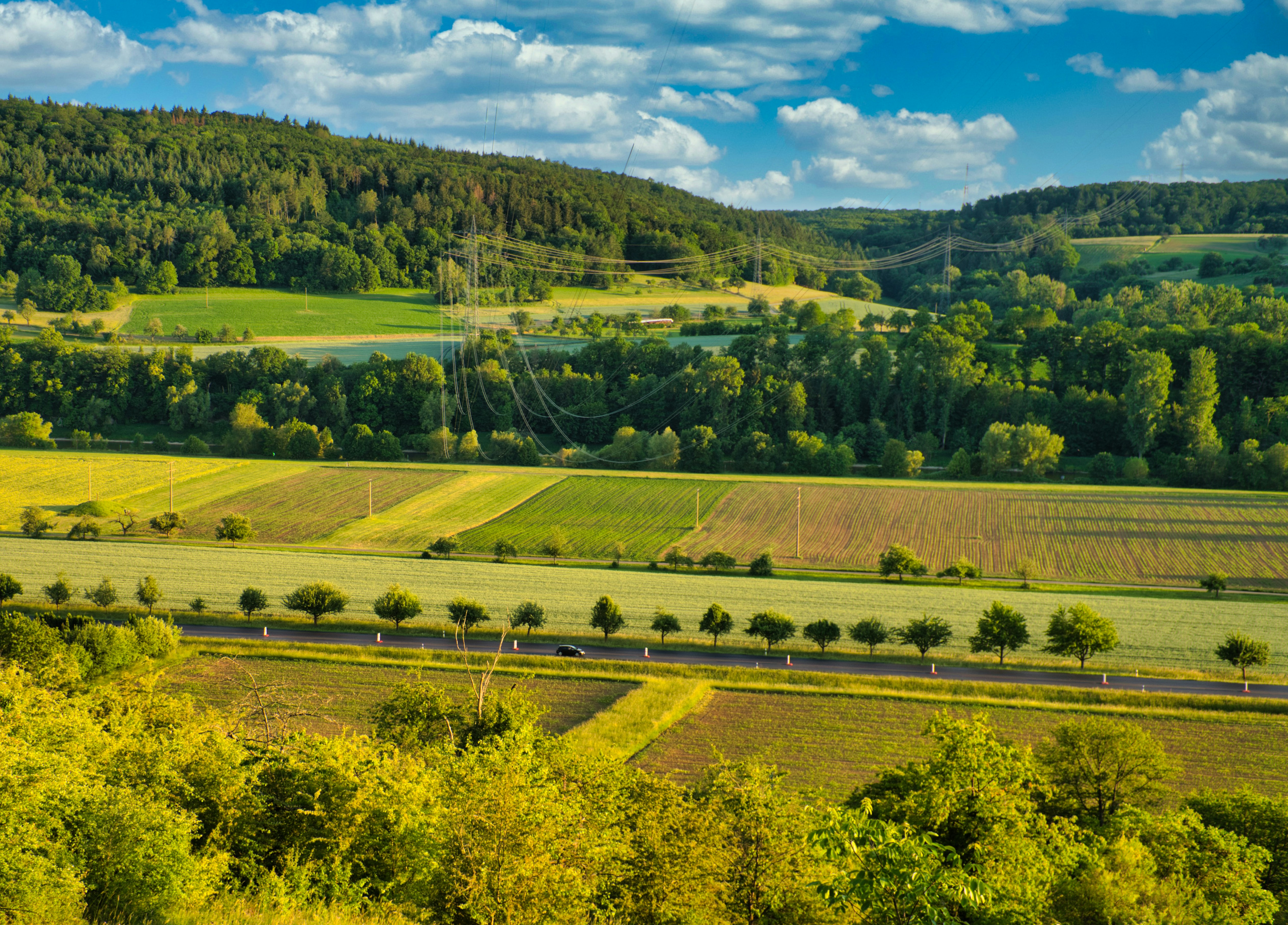 Photo by masoodaslami