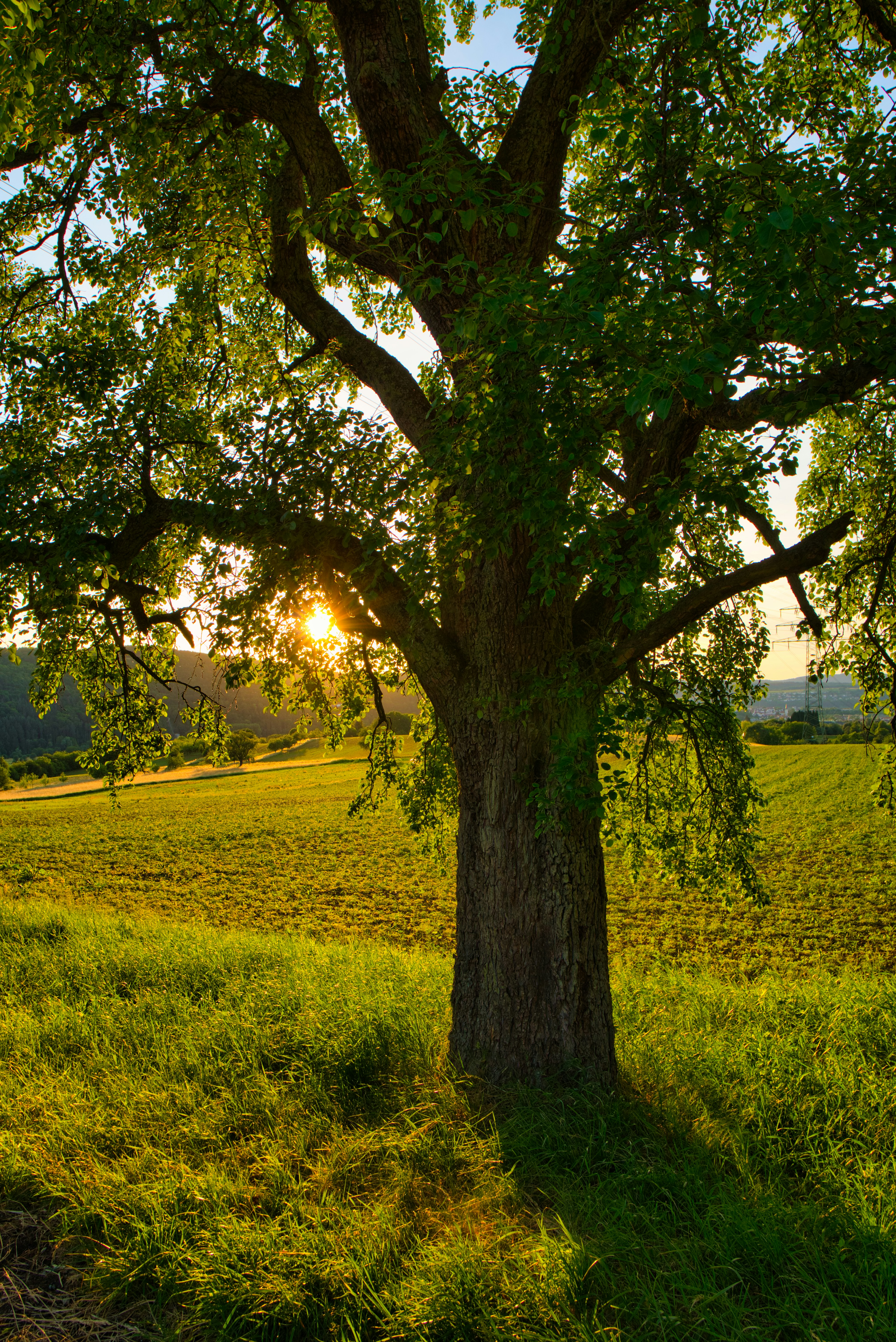 Photo by masoodaslami