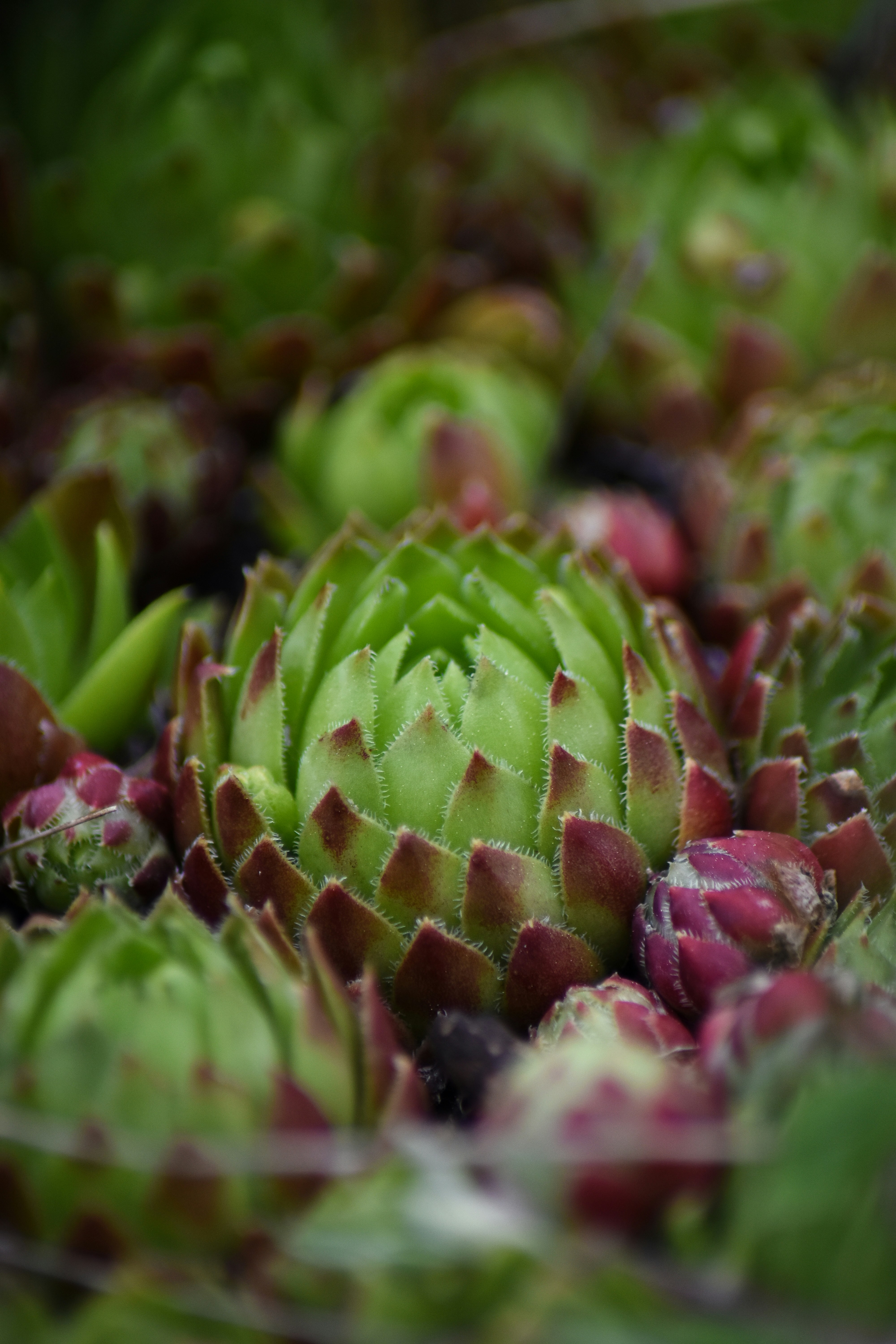 Photo by artem_makarov