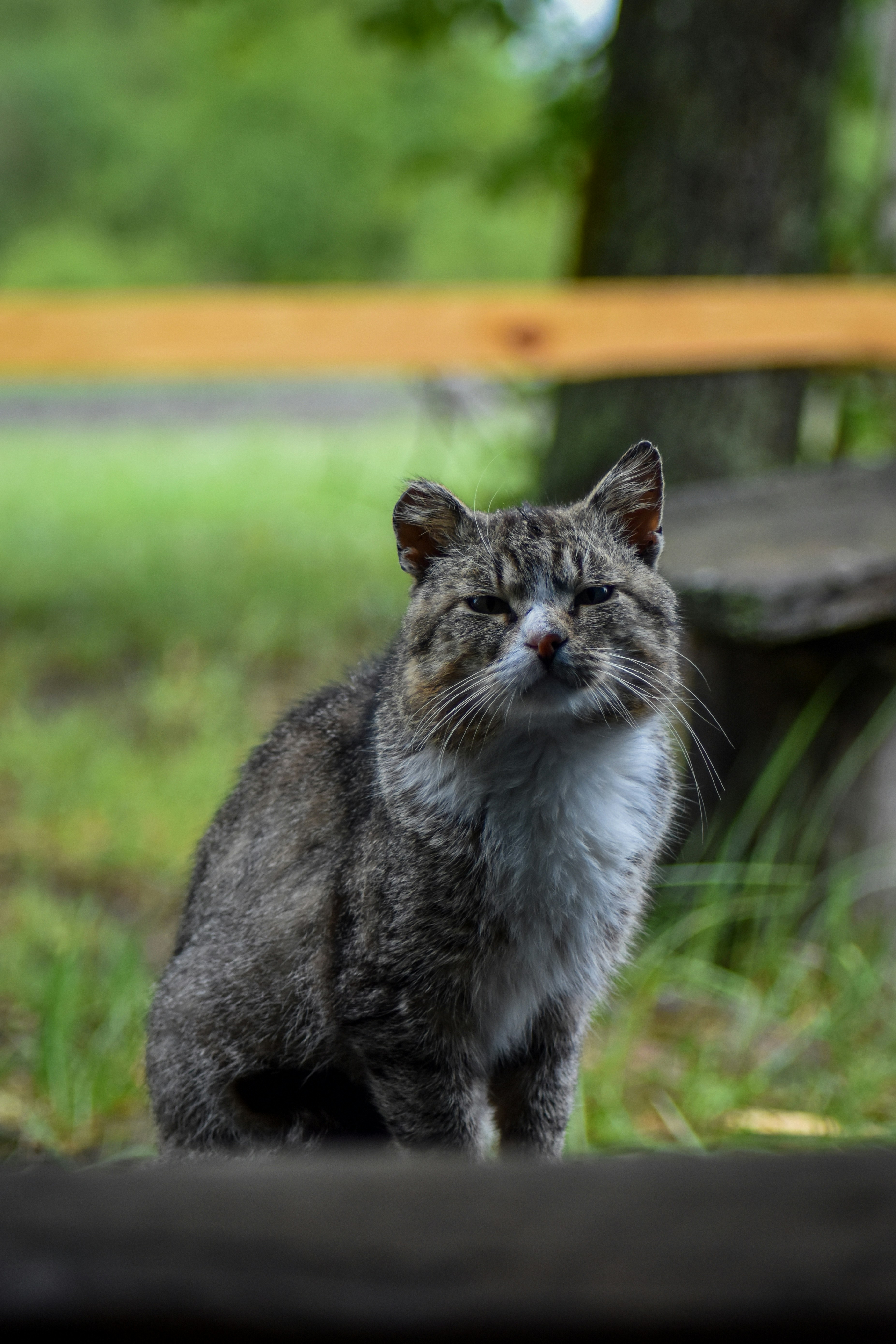 Photo by artem_makarov