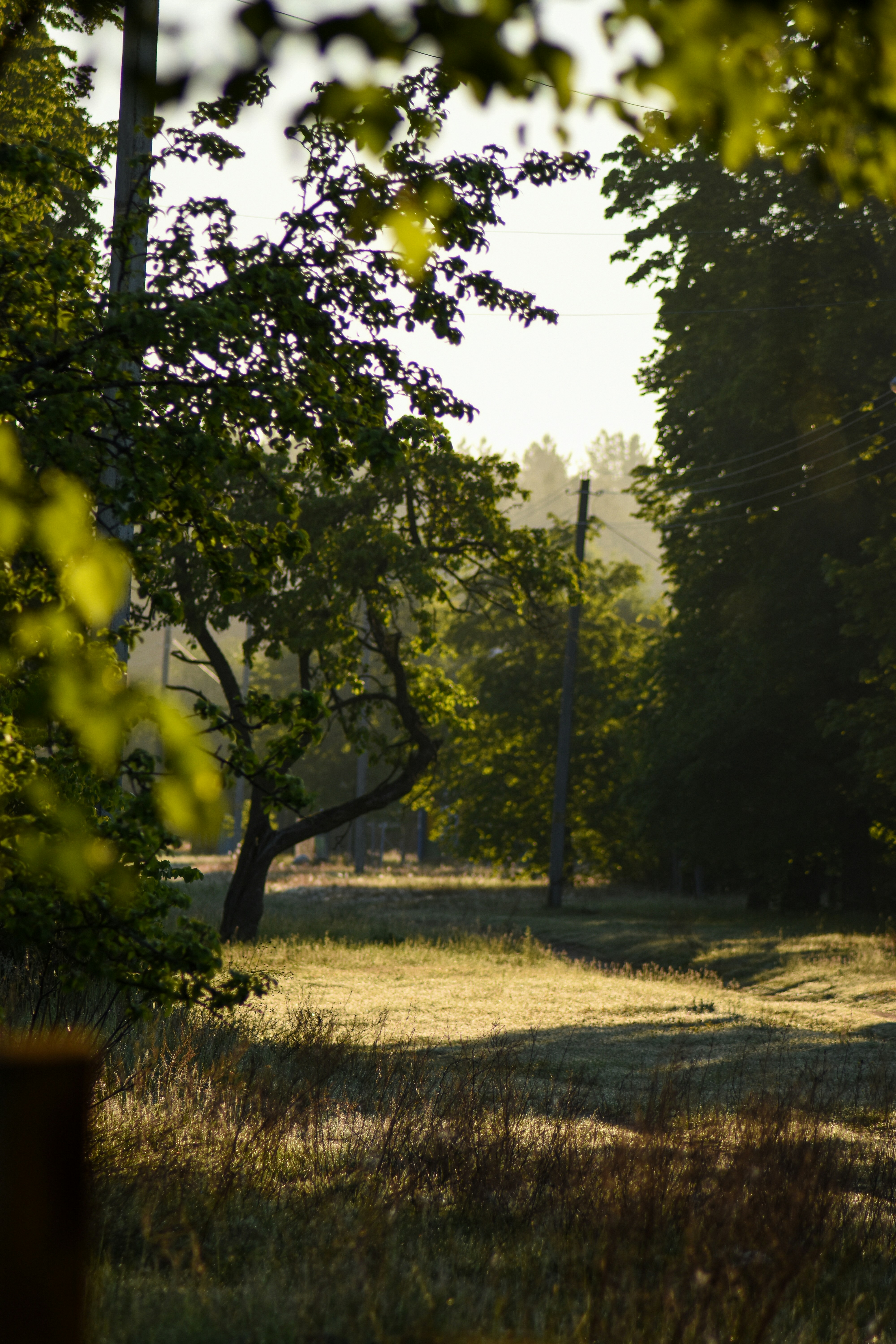 Photo by artem_makarov