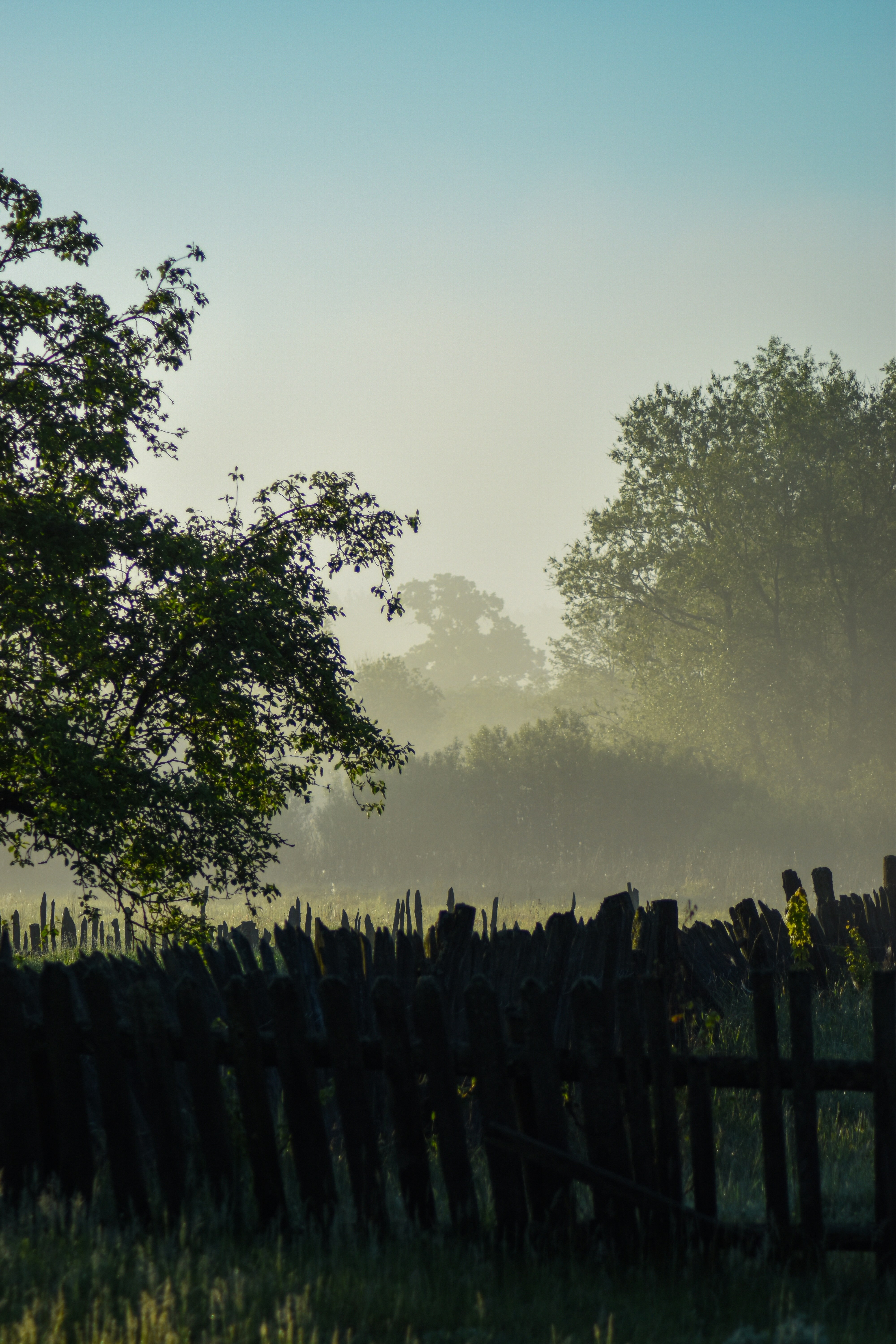 Photo by artem_makarov