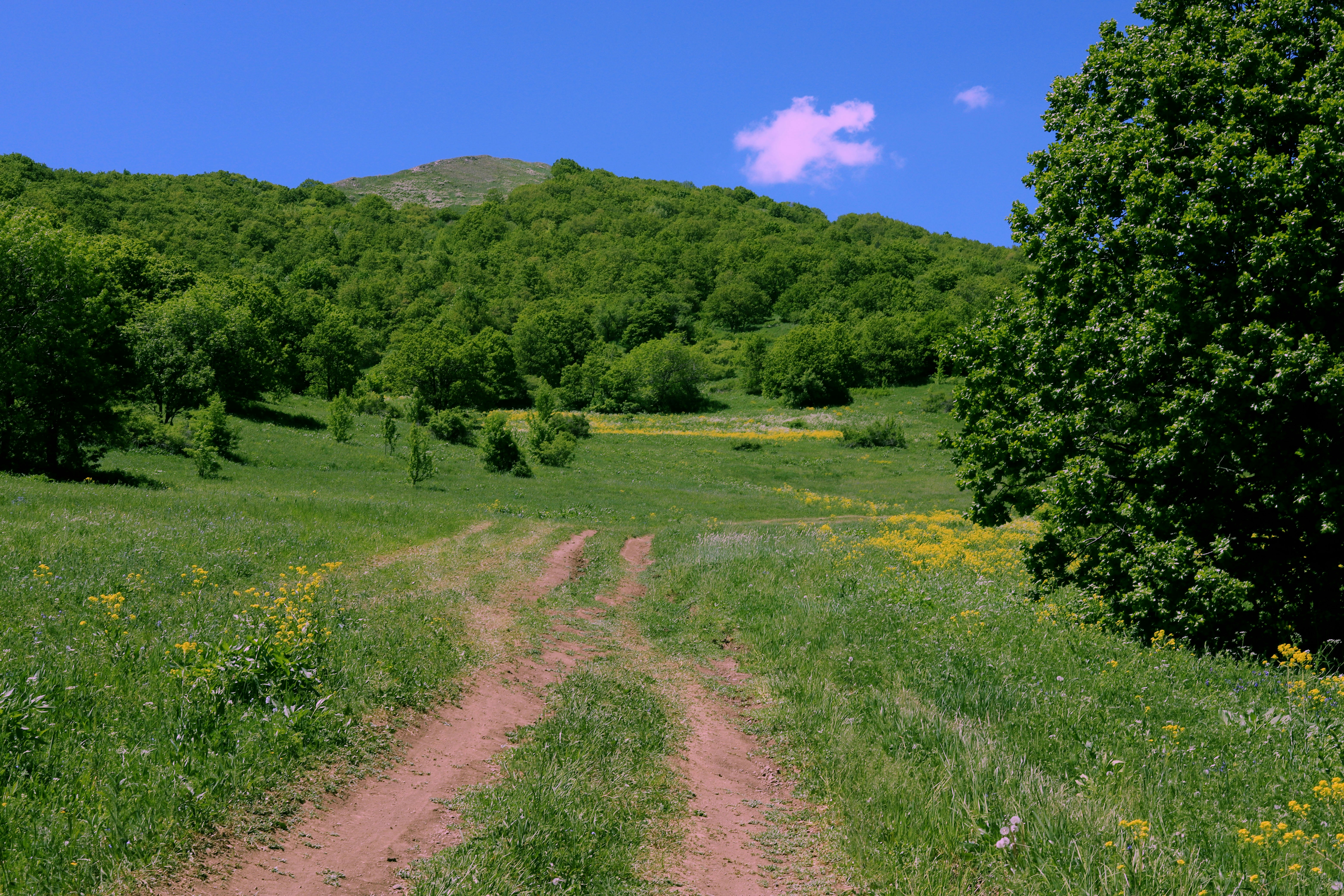A road taking to a beautiful lake