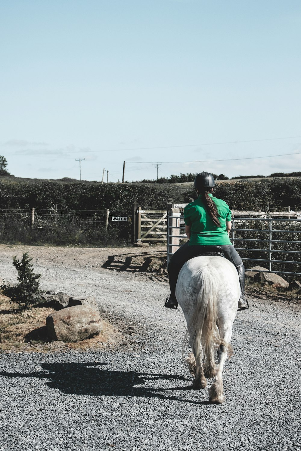 man in blue jacket riding white horse during daytime