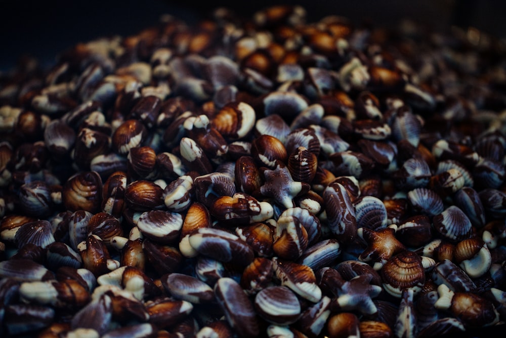 brown coffee beans in close up photography