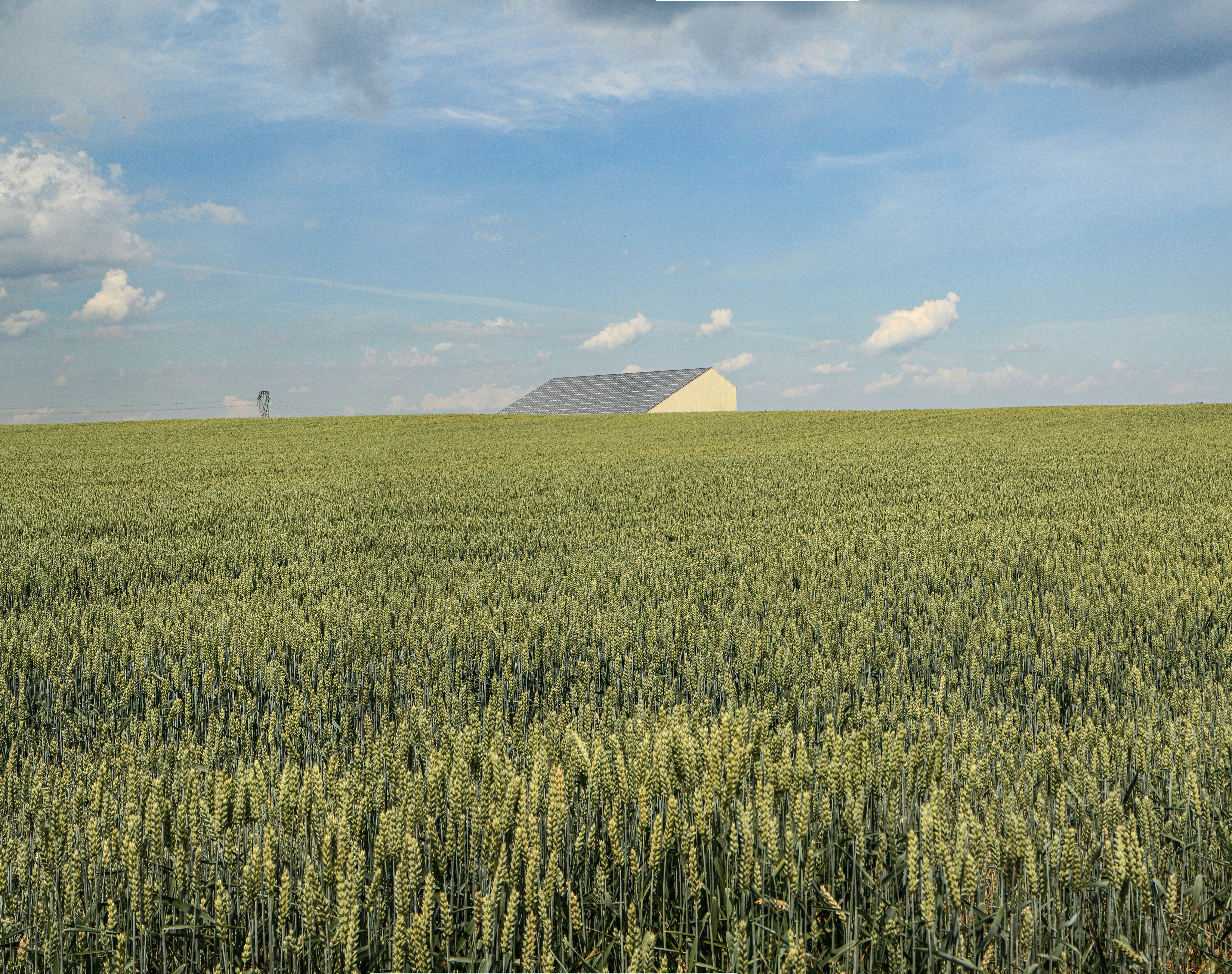 green grass field near mountain under blue sky during daytime