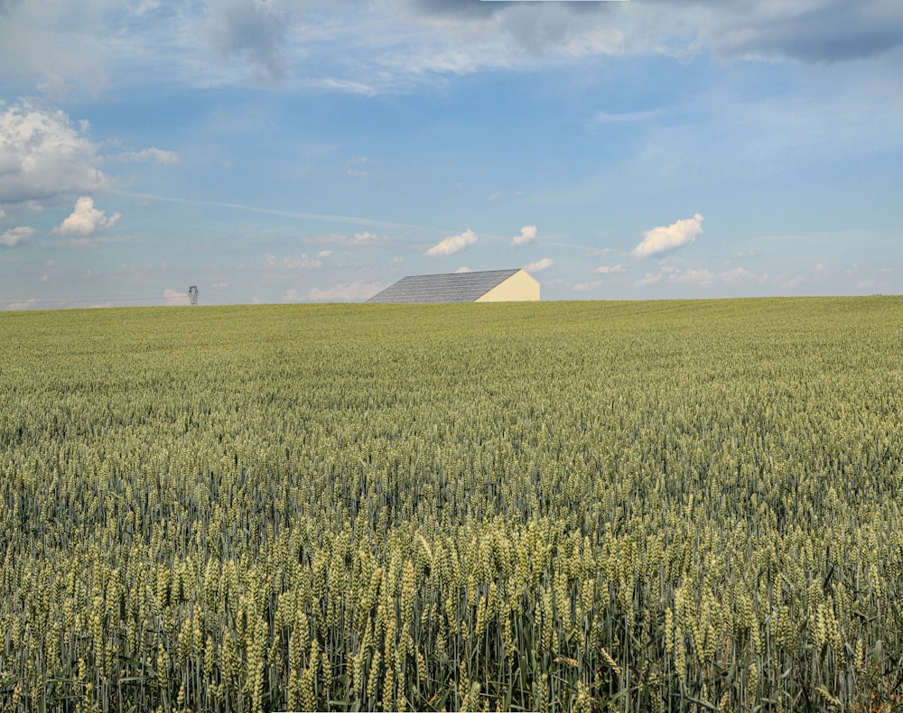 green grass field near mountain under blue sky during daytime