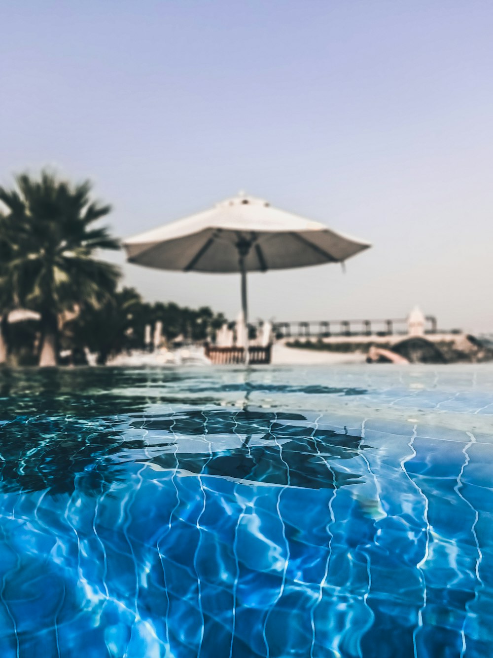 green palm tree near swimming pool during daytime