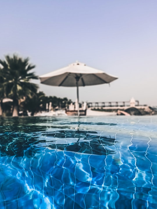 green palm tree near swimming pool during daytime in Ras Al-Khaimah - Ras al Khaimah - United Arab Emirates United Arab Emirates