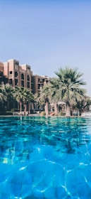 palm trees in front of brown concrete building