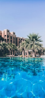 palm trees in front of brown concrete building