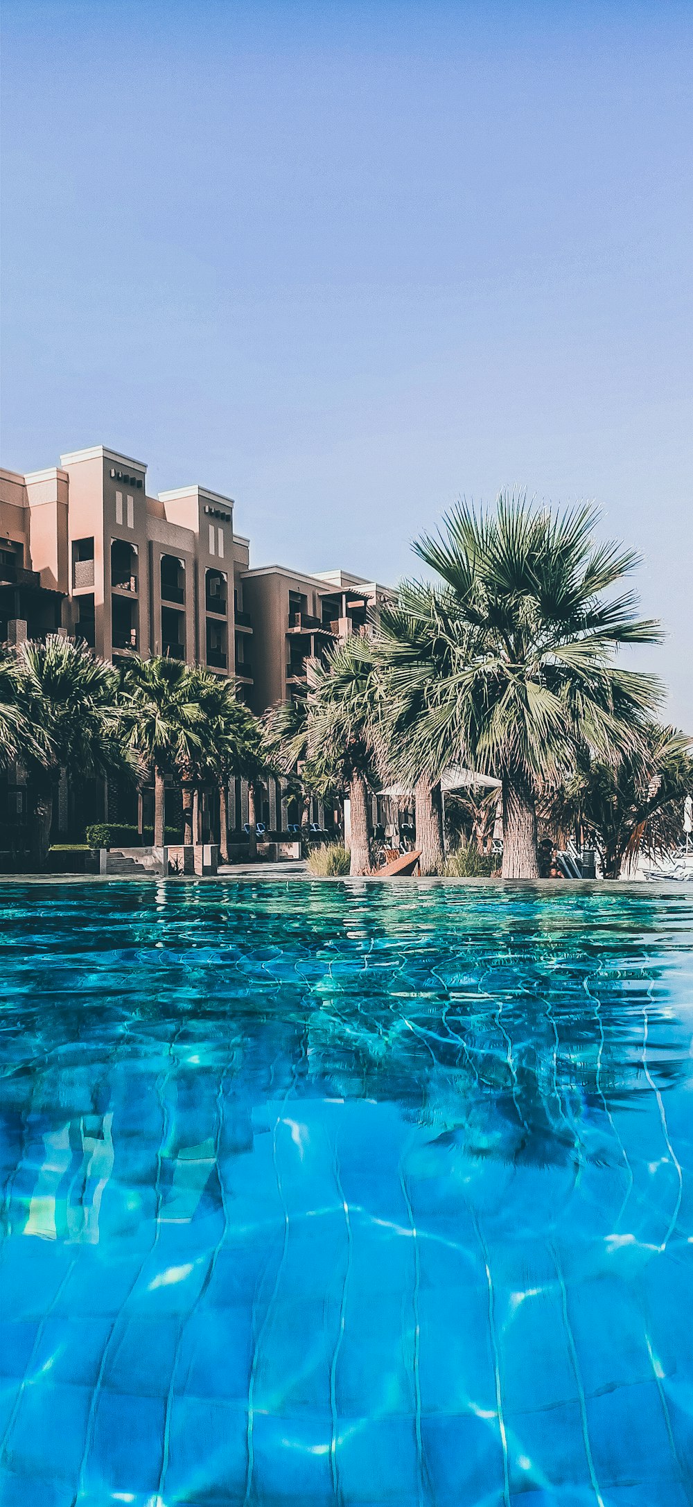 palm trees in front of brown concrete building