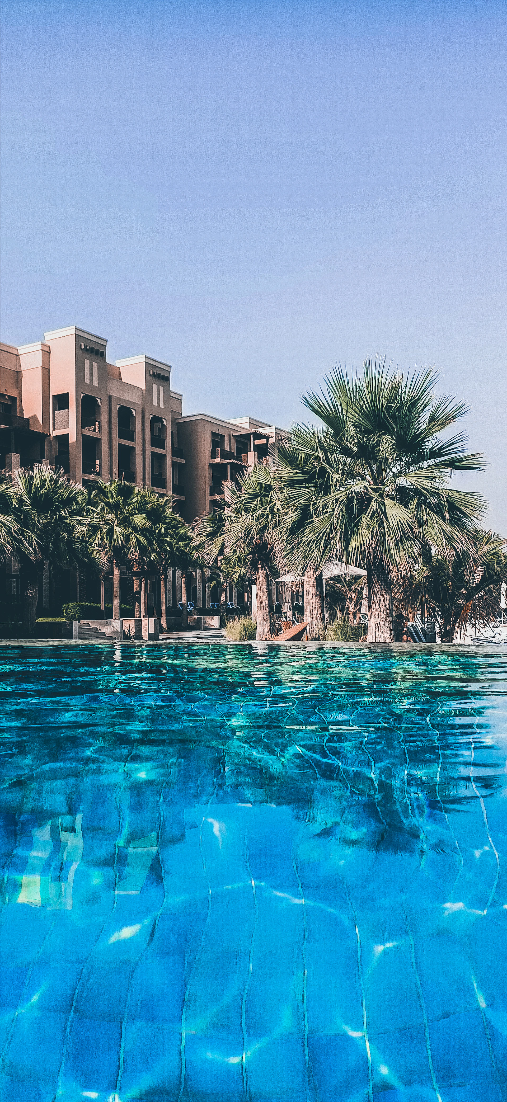 palm trees in front of brown concrete building