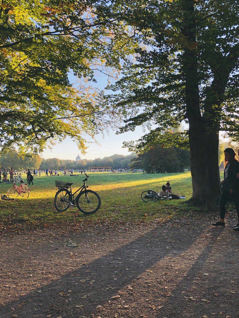 people walking on pathway near trees during daytime