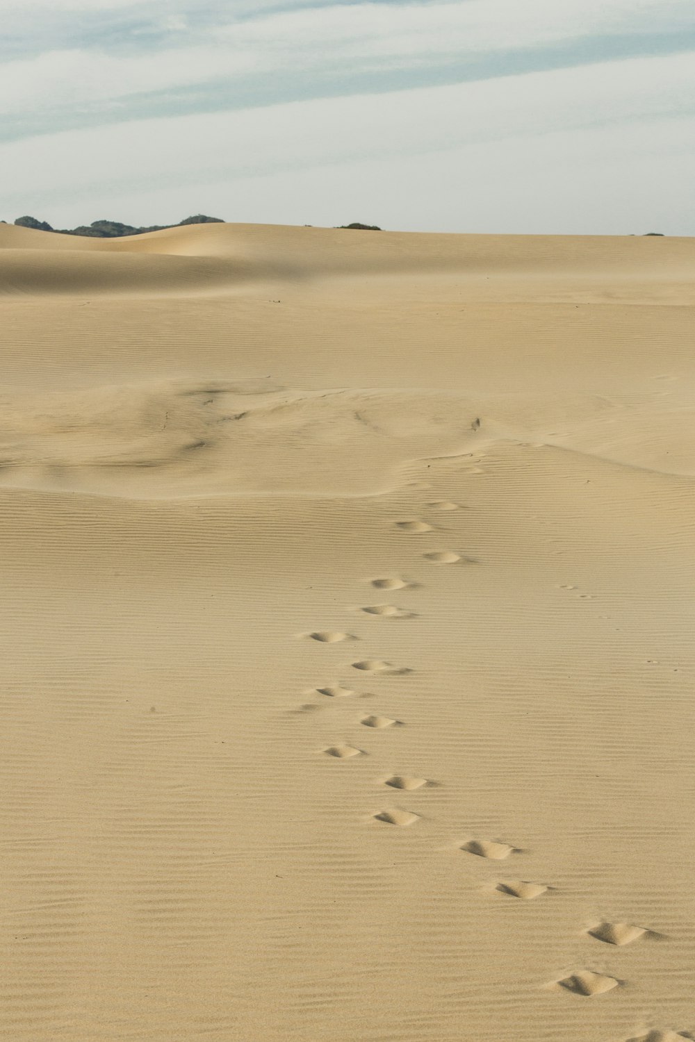 brown sand under blue sky during daytime