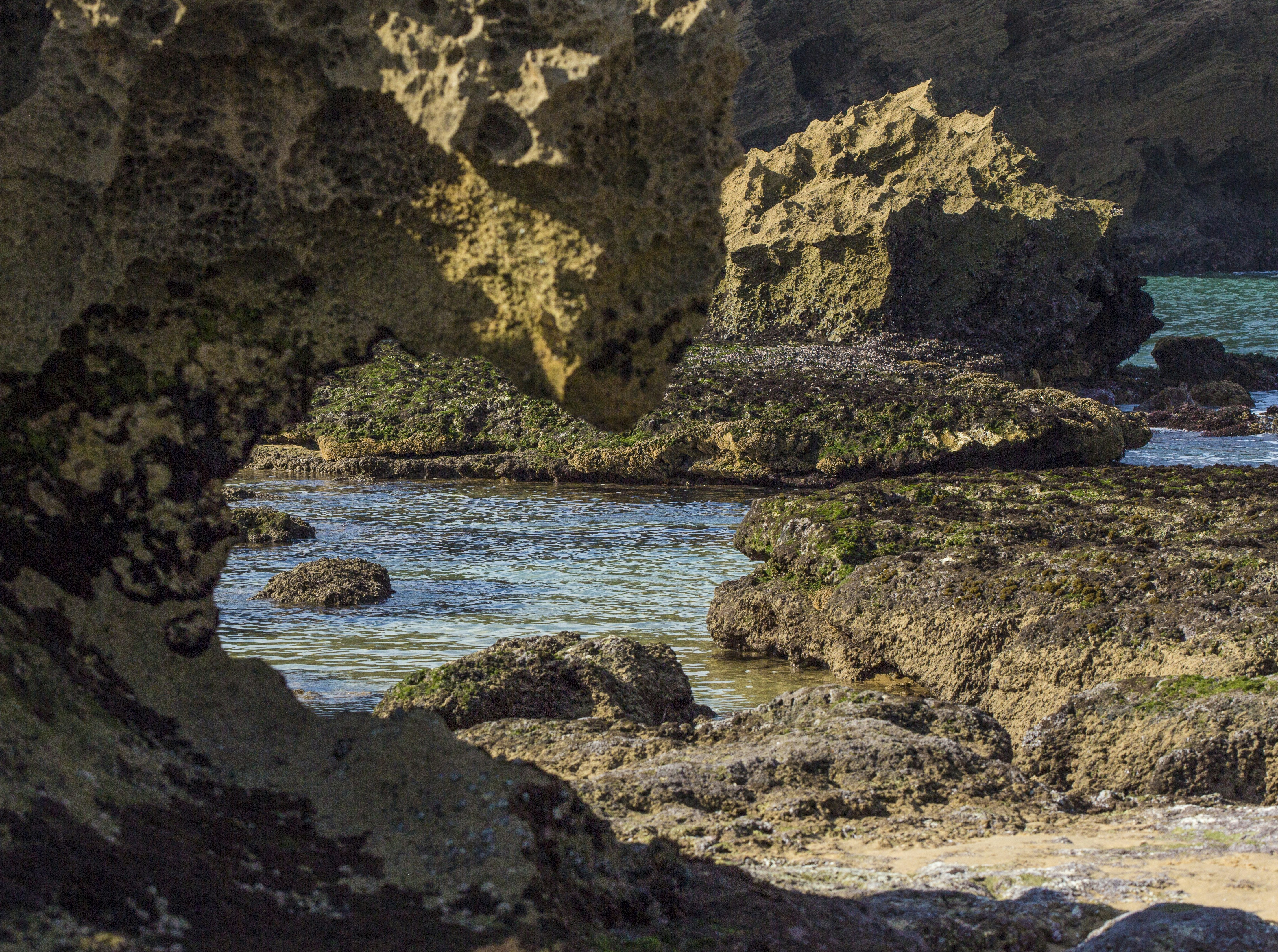 Photo by charl_durand