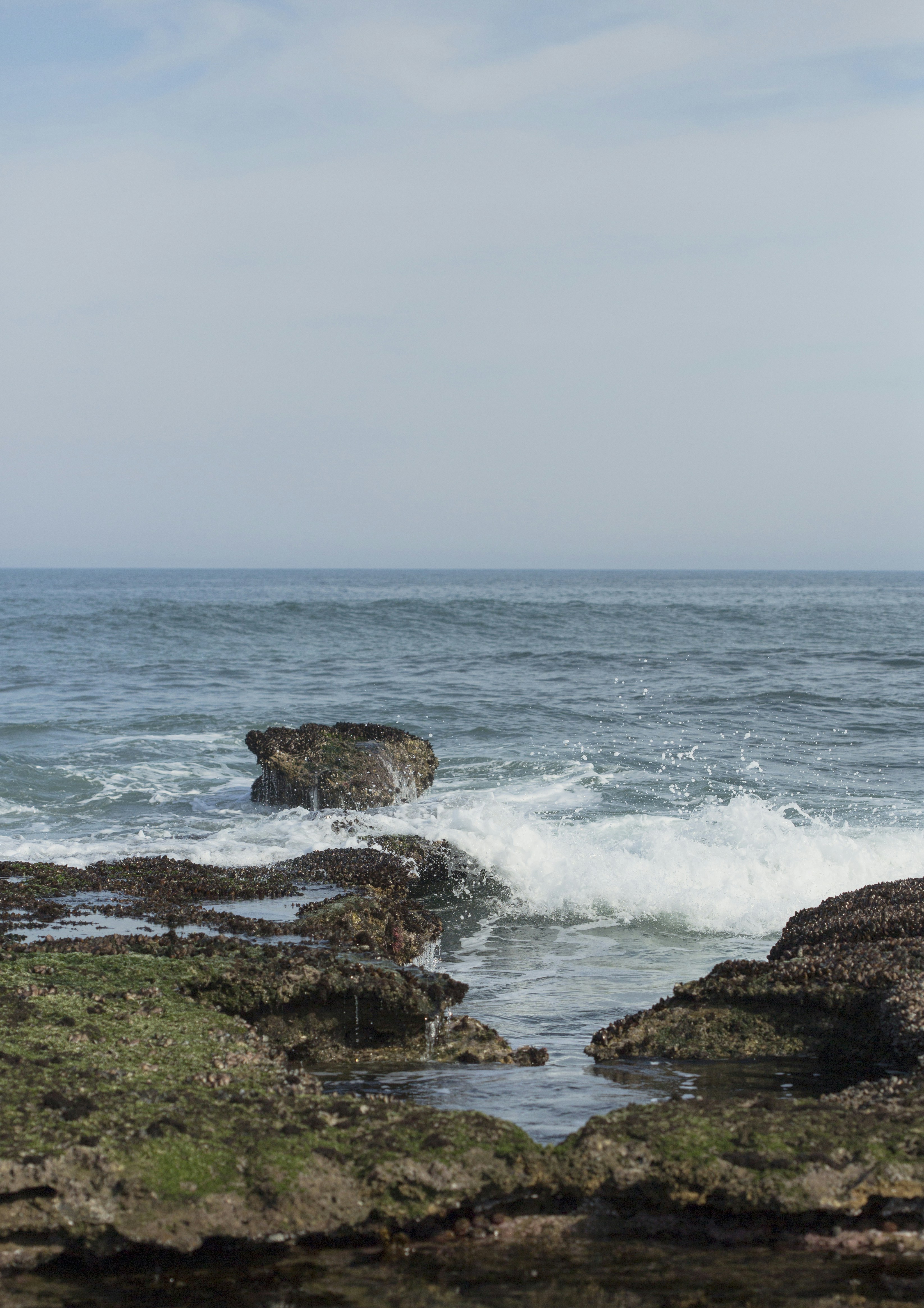 Photo by charl_durand