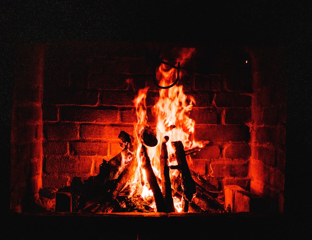 burning wood on fire pit