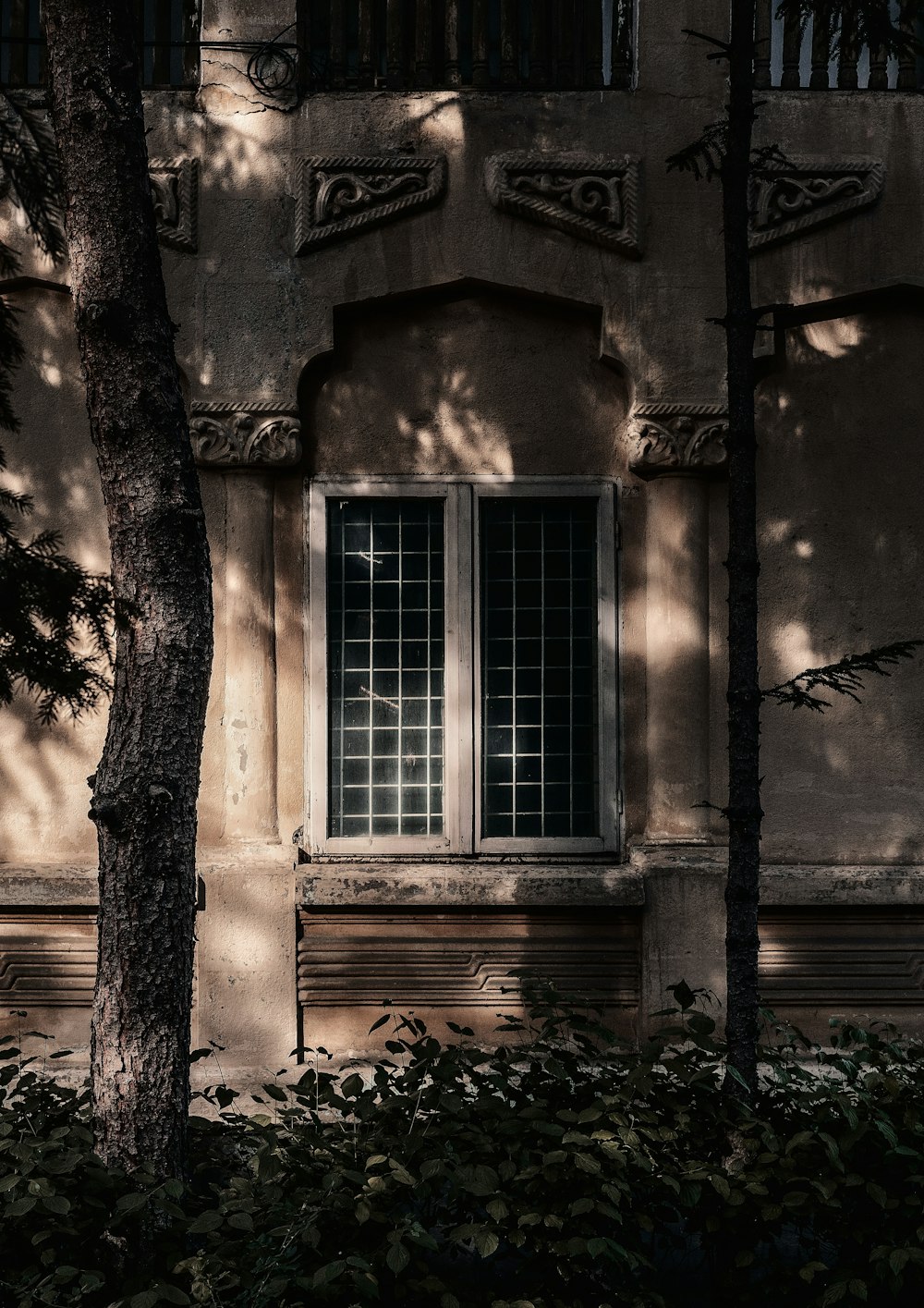 brown wooden window frame with vines