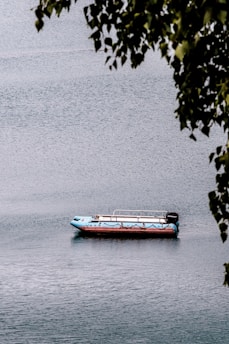 A small boat with a light blue and red color scheme floats on a calm body of water, surrounded by gentle ripples. The boat appears to have a canopy frame over its seating area and is powered by a Mercury outboard motor. In the foreground, some leaves hanging from a branch partially frame the scene from above.