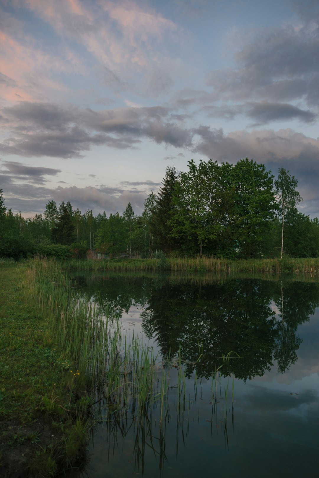 green trees beside lake under cloudy sky during daytime