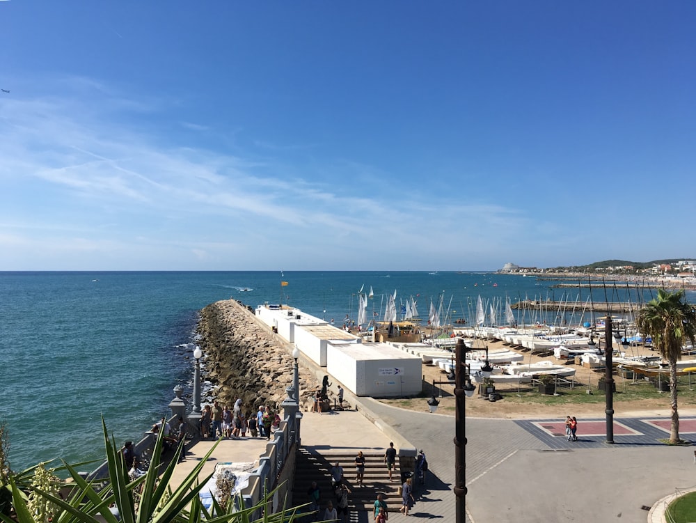 white and black boats on sea dock during daytime