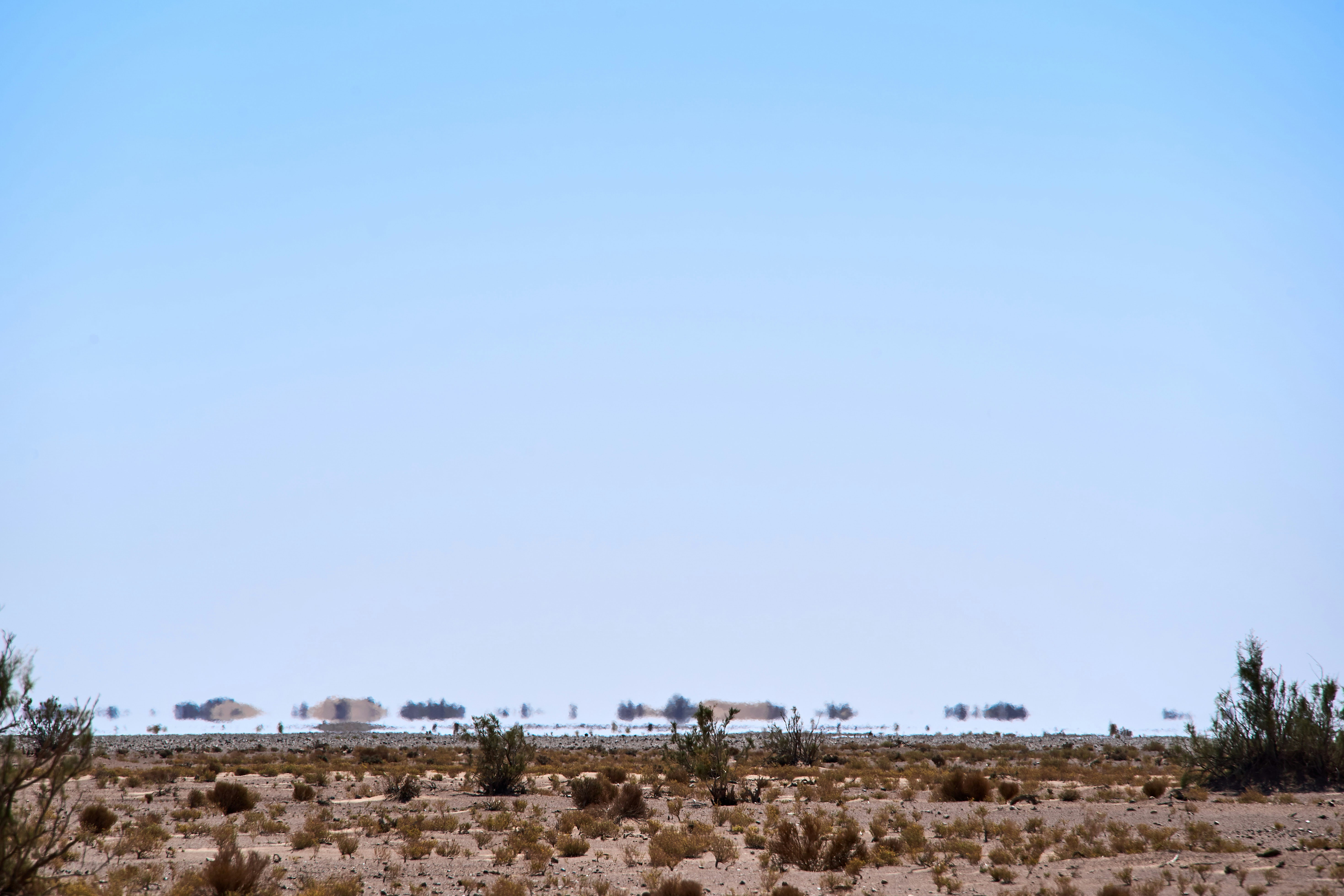 Photo by wolfgang_hasselmann