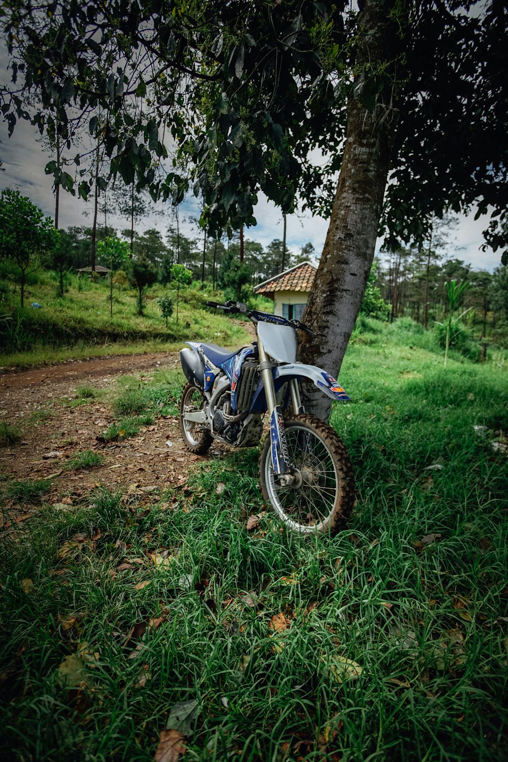 Bicicleta azul y negra en campo de hierba verde