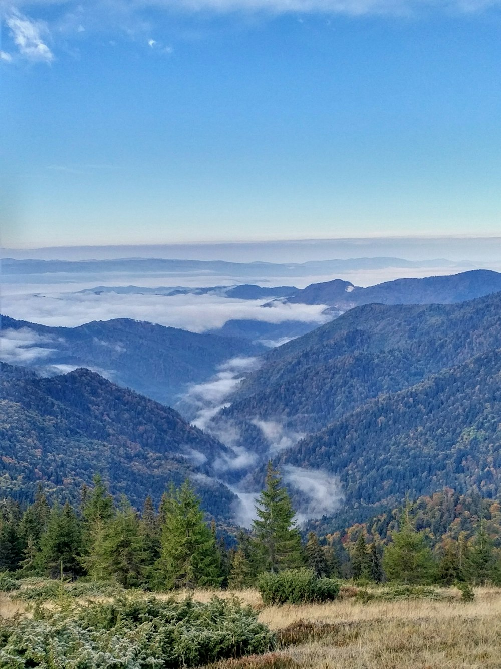 昼間の青空の下、山の緑の木々