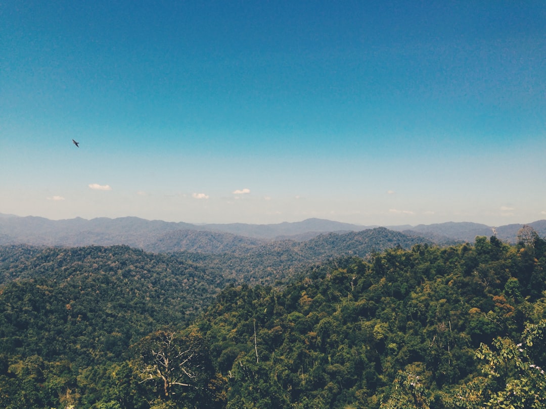 Hill station photo spot Pahang Pahang