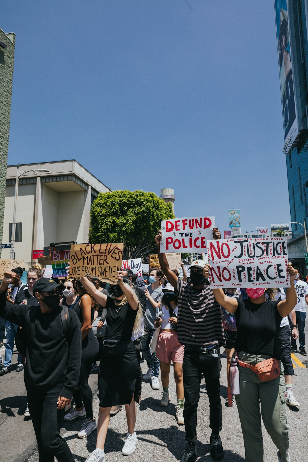 people standing and holding signage during daytime