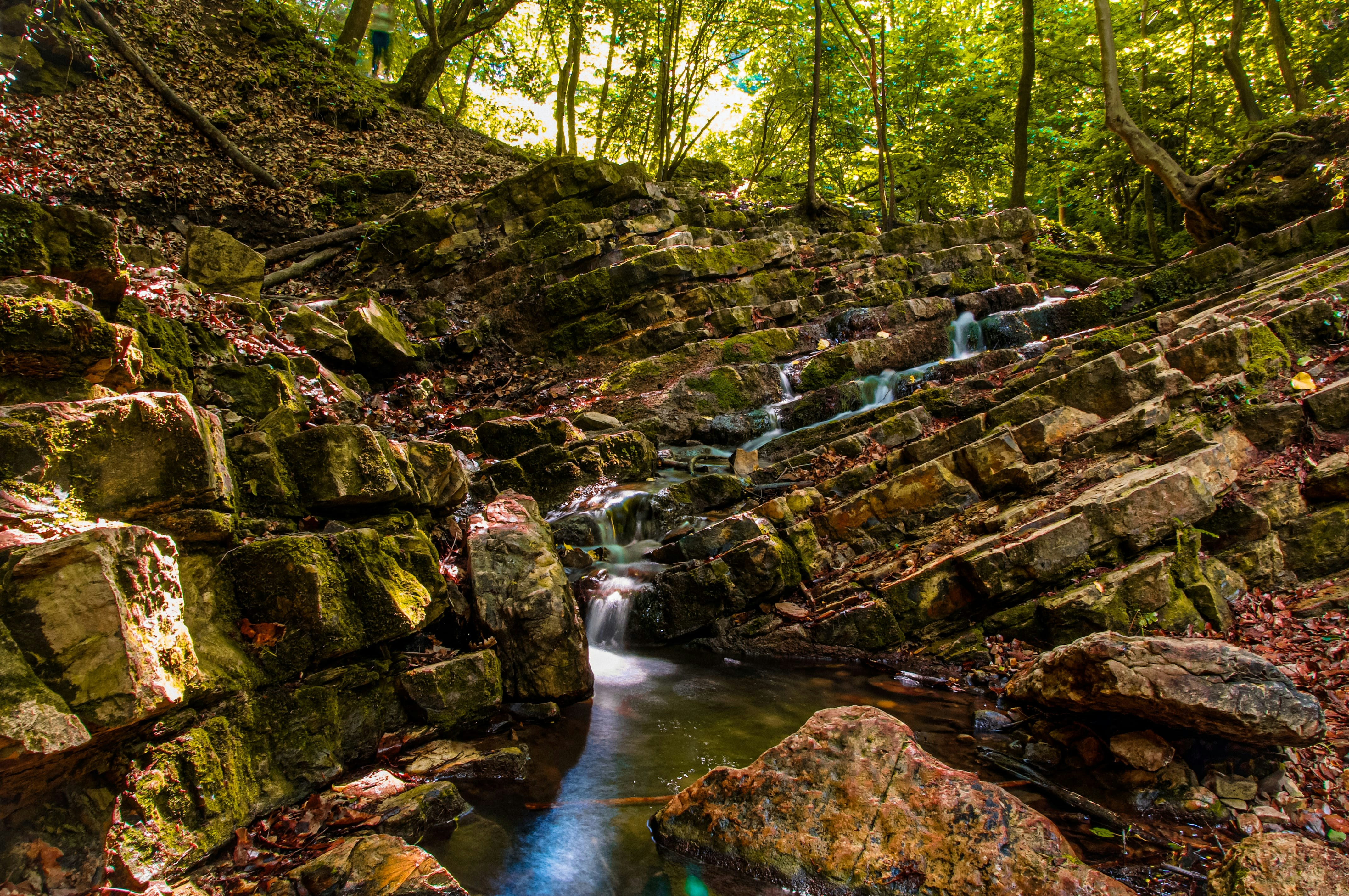 Photo by kadlibali02