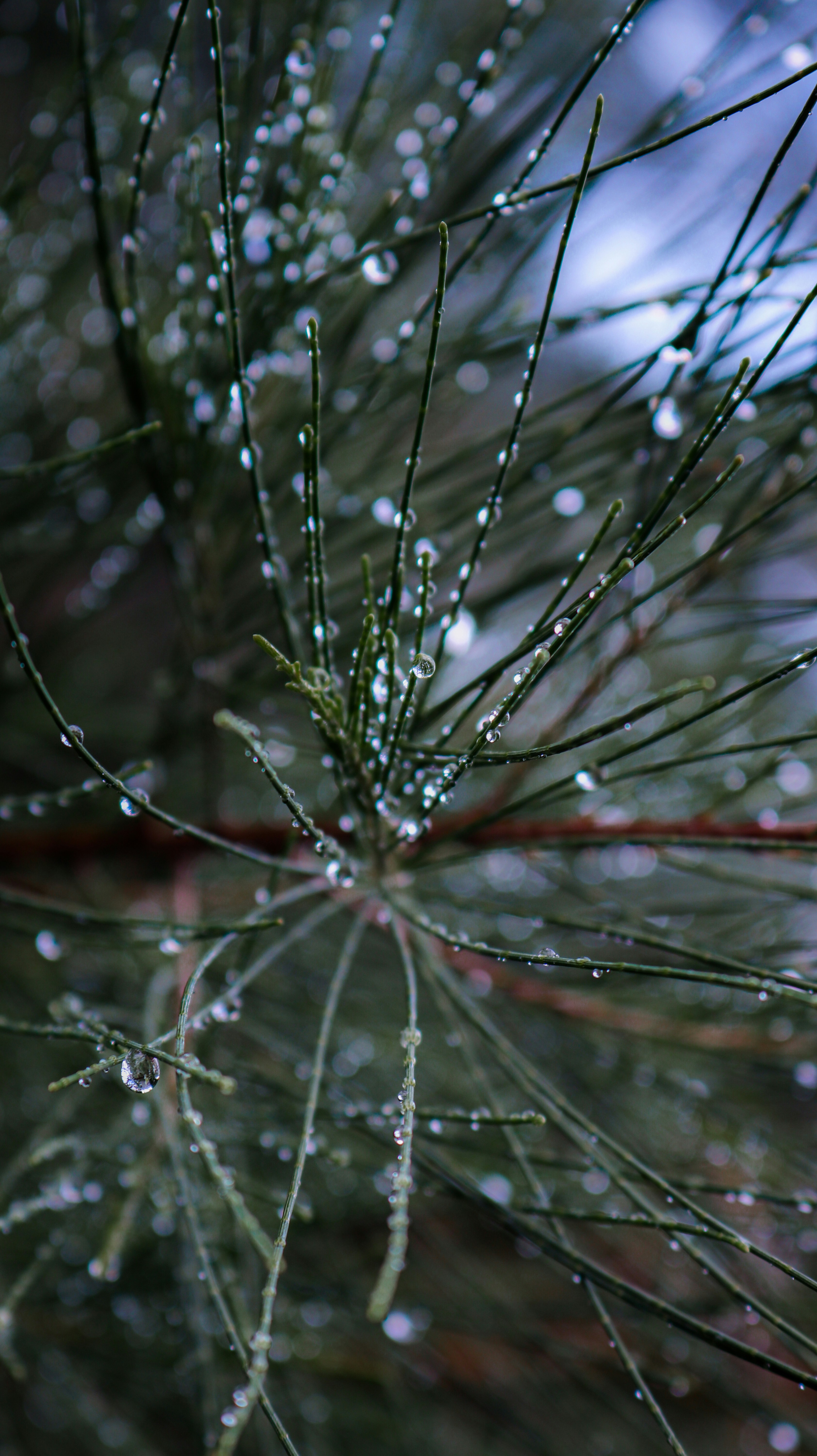 1. Sauerbraten 2. Bratwurst 3. Pretzel 4. Schnitzel 5. Kraut 6. Kartoffelsalat 7. Currywurst 8. Spätzle 9. Eintopf 10. Black Forest Cake