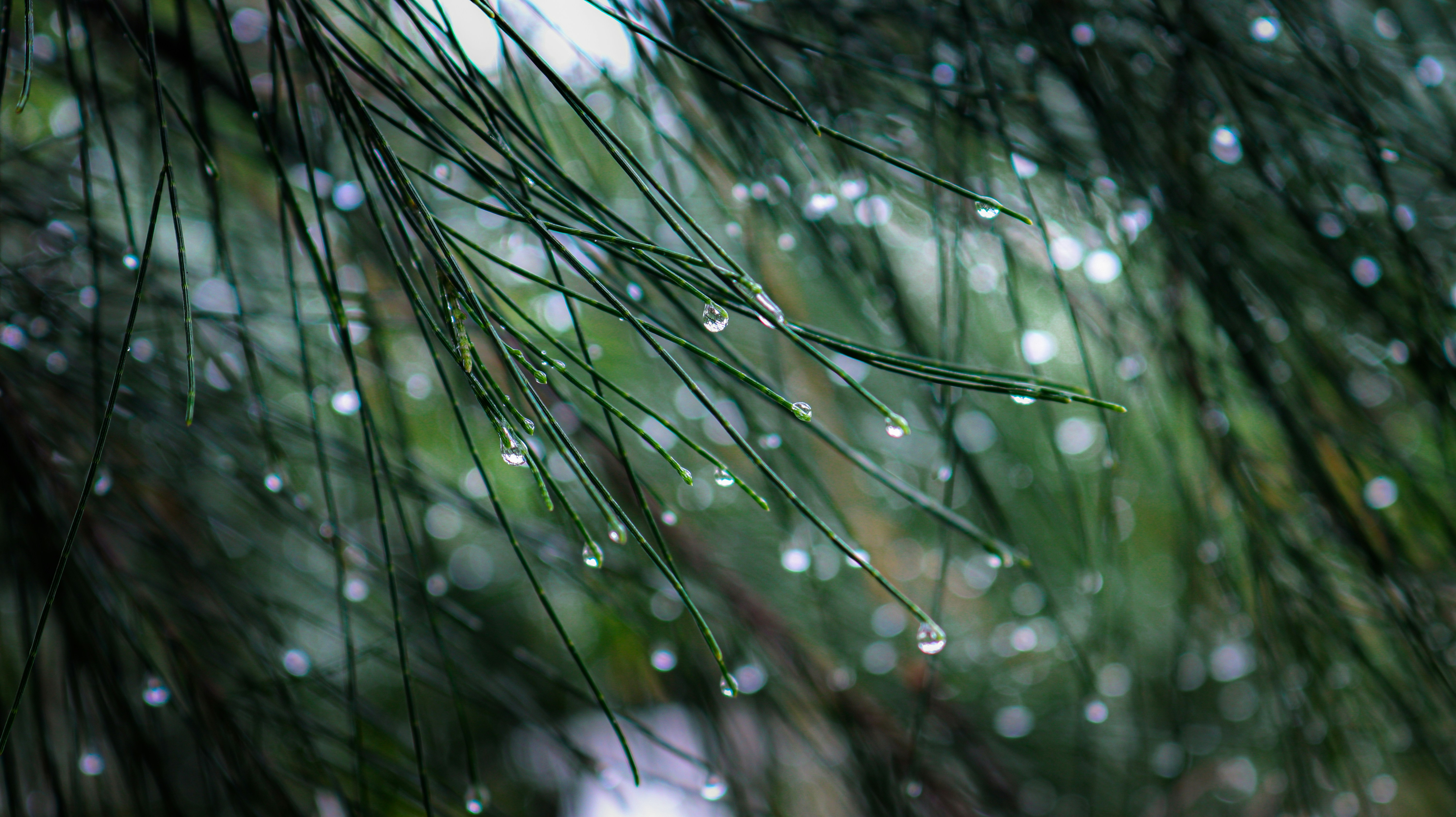 Photo by justinmin27