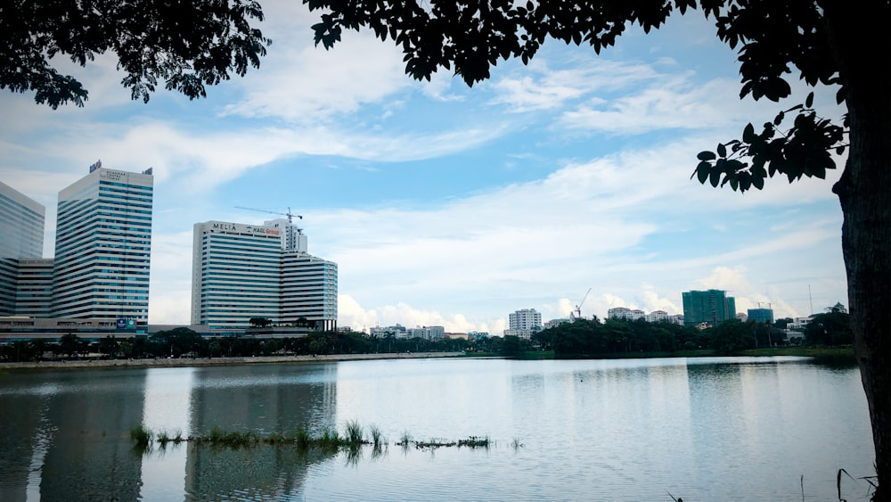 body of water near city buildings under blue sky during daytime