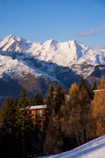 Sunset over the rustic wooden lodge surrounded by pine trees and the Teton mountains in the distance.