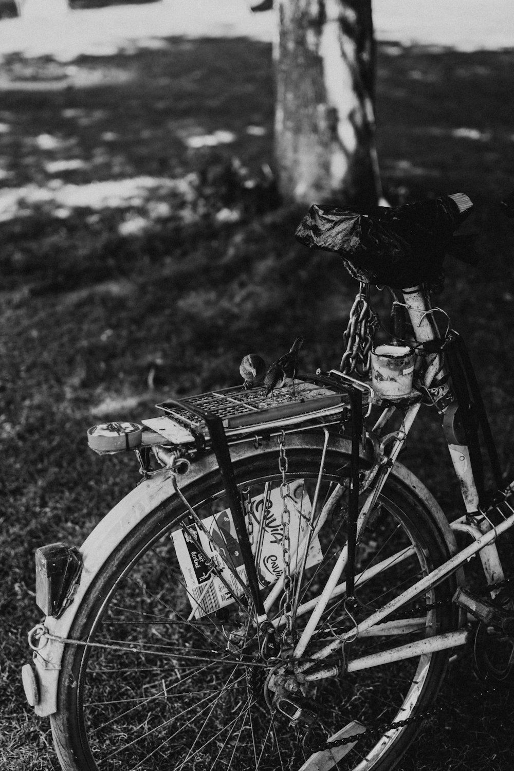 grayscale photo of person riding bicycle