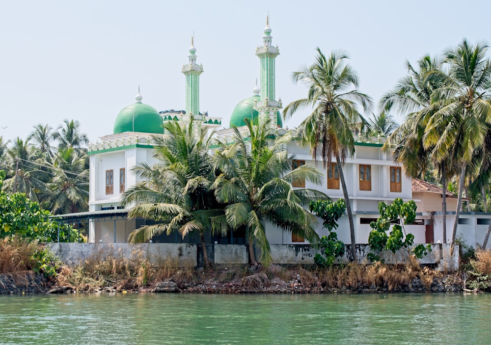 green and white dome building surrounded by palm trees