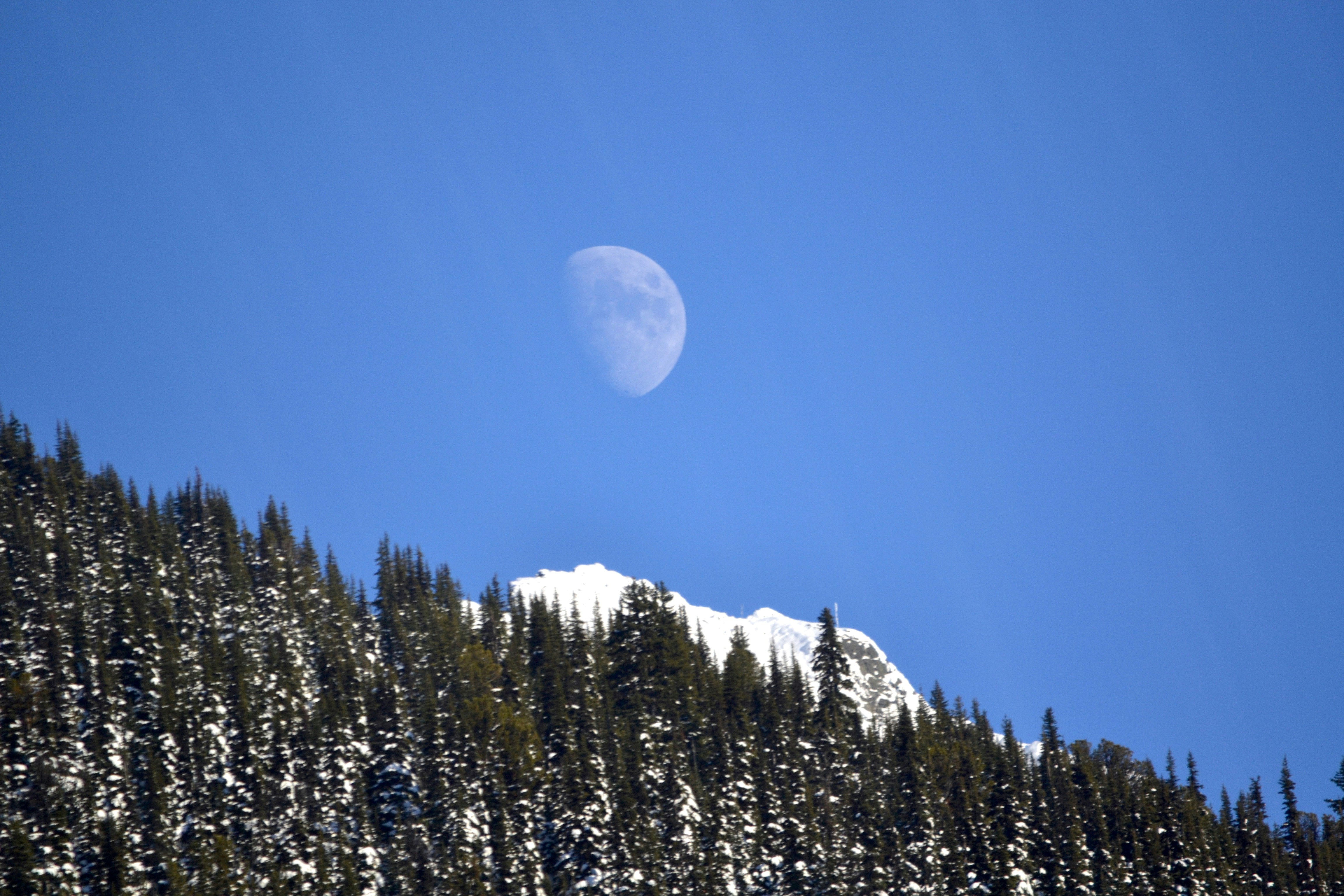 Whistler, Canada - None