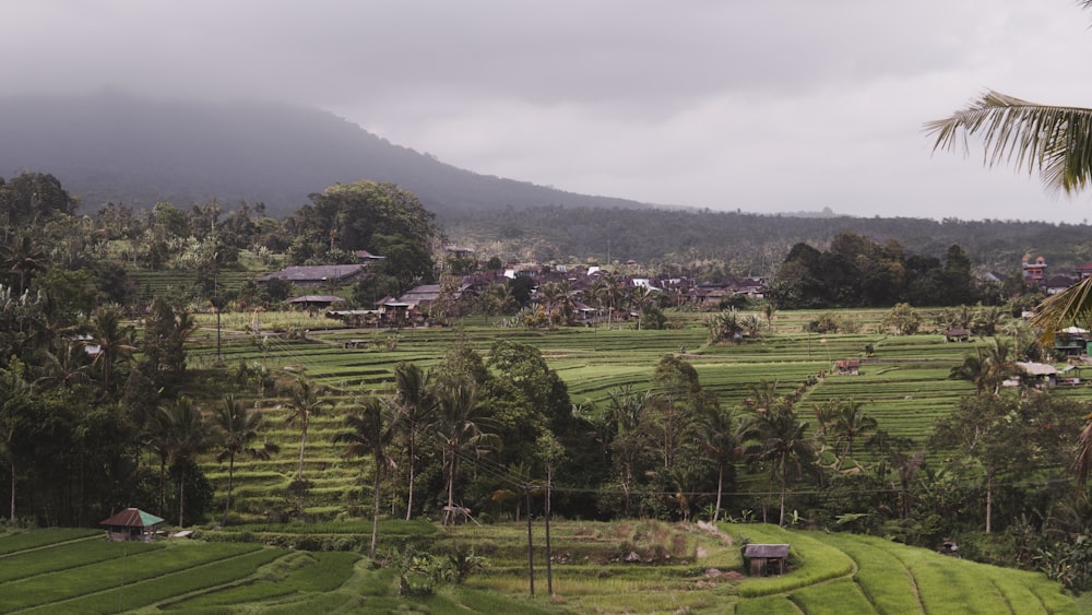 green grass field near mountain during daytime