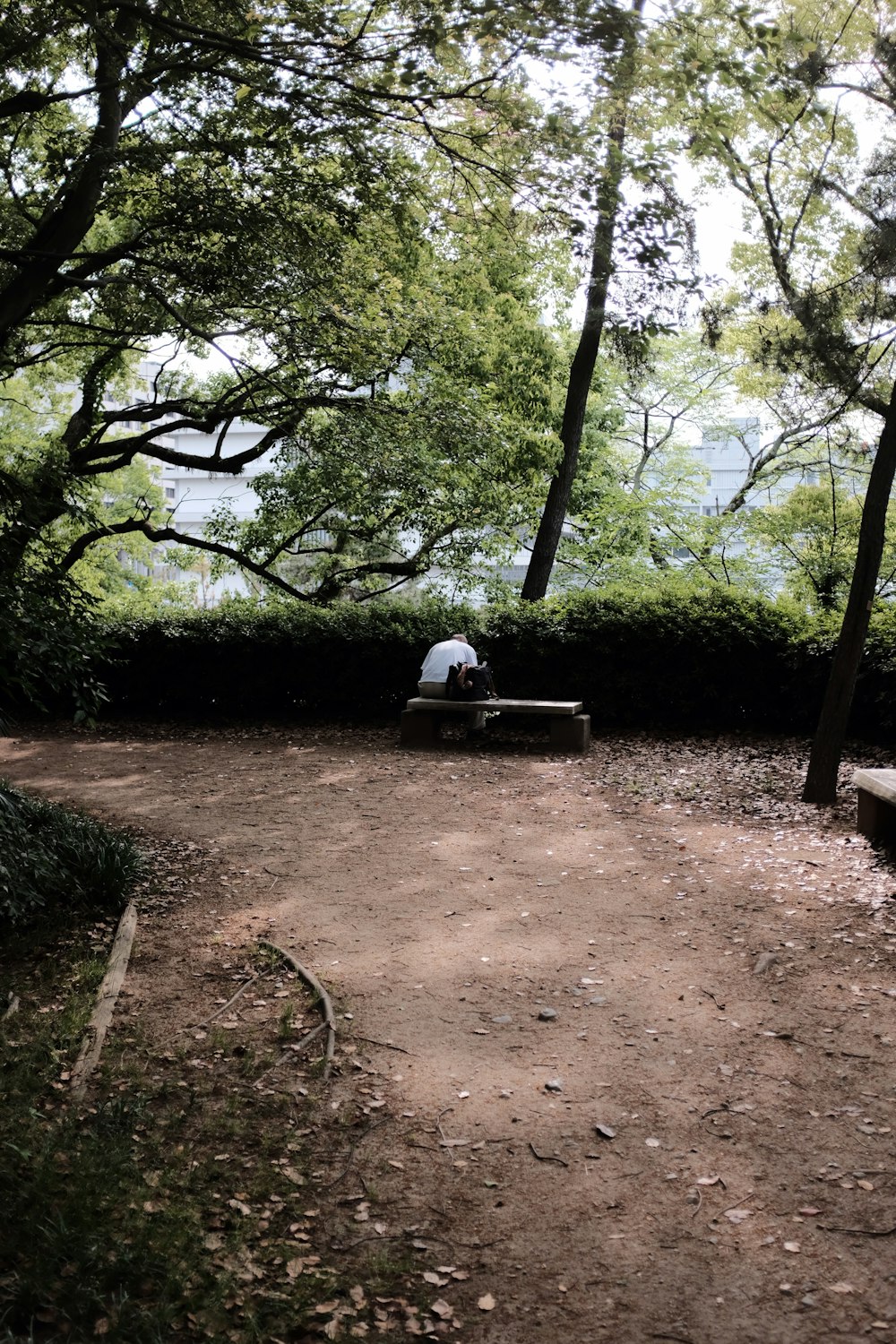 man in white shirt sitting on white plastic chair under green trees during daytime