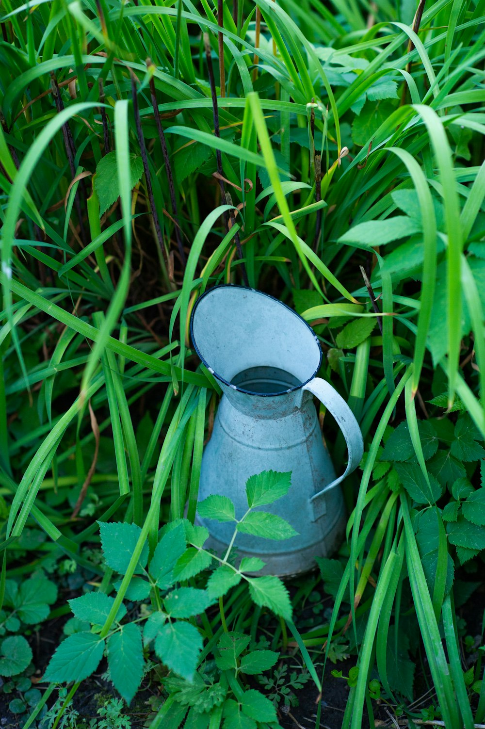 green watering can on green grass