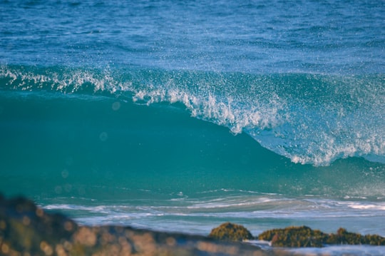 blue sea waves crashing on brown rocky shore during daytime in Sunshine Coast QLD Australia