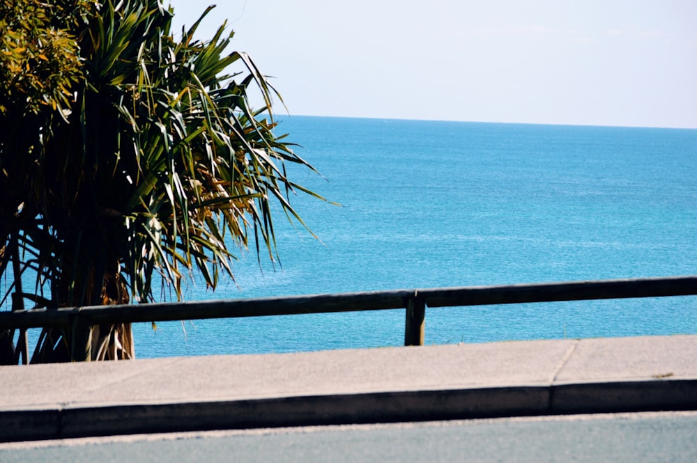 green palm tree near blue sea during daytime