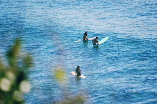 2 people surfing on blue sea during daytime in Sunshine Coast QLD Australia
