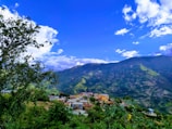 A scenic view of Chhote Rabeli village surrounded by greenery.