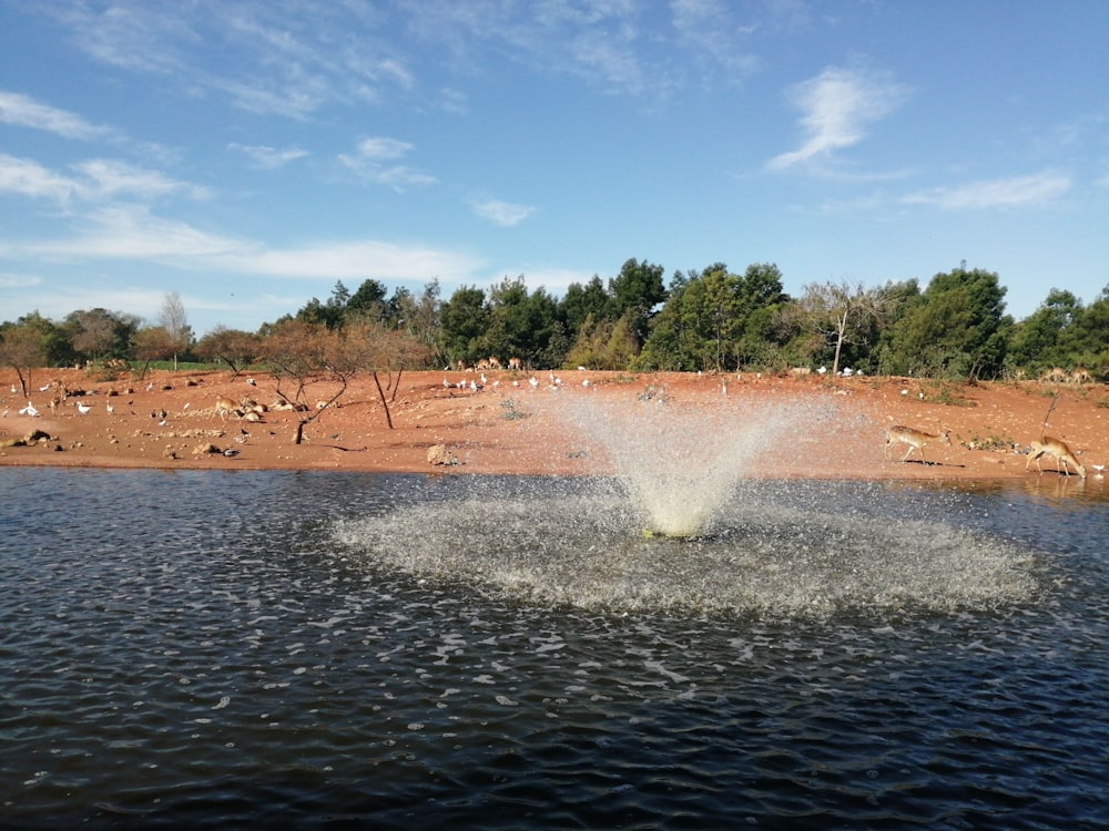 water fountain on body of water during daytime