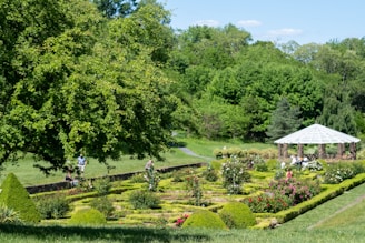 Residents enjoying a peaceful garden walk surrounded by lush greenery and blooming flowers.
